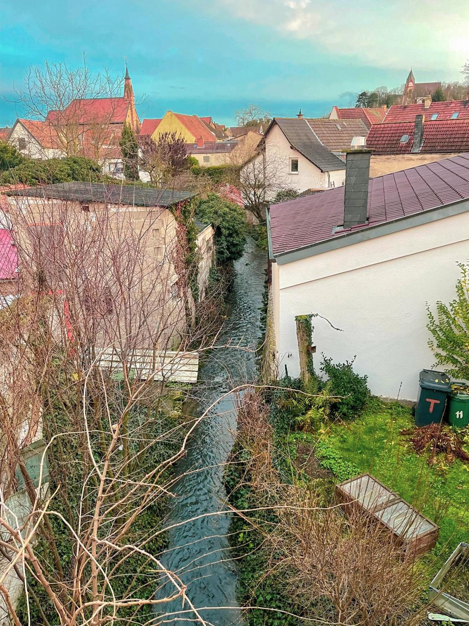 Das Haus Am Bach - Schoene Grosse Moderne Wohnung Mit Terrasse Osthofen Exterior foto